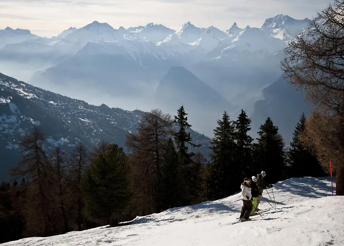 Meinaz W 030 - Quiet 7 Pers ヴェゾナ